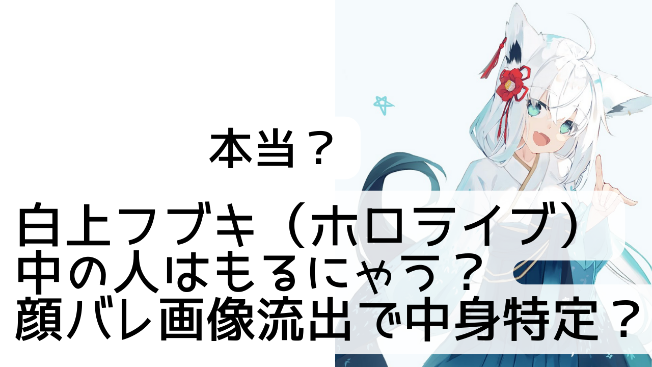 白上フブキ ホロライブ 中の人はもるにゃう 顔バレ画像流出で中身特定 Net Sea ネッシー