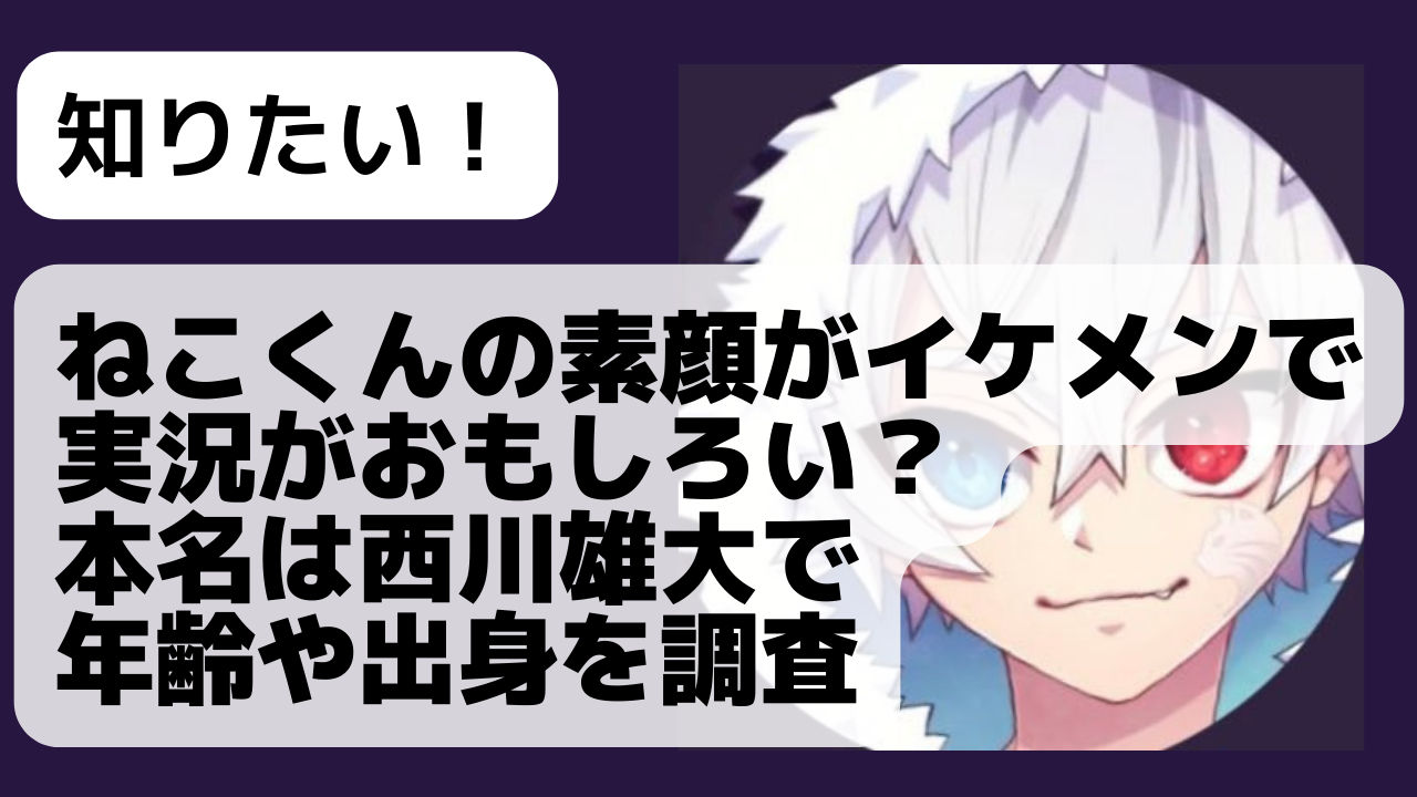 ねこくんの素顔がイケメンで実況がおもしろい 本名は西川雄大で年齢や出身を調査 Net Sea ネッシー