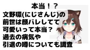 加賀美ハヤト にじさんじ の炎上騒動はある 中の人の顔バレや仕事は玩具の社長って本当 Net Sea ネッシー